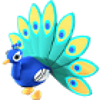 Peacock  - Legendary from Robux